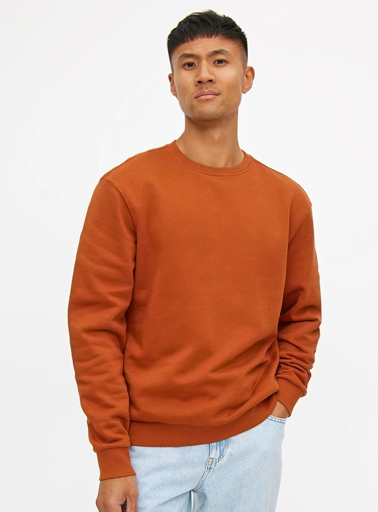 Buy Brown Core Crew Neck Sweatshirt XXL | Sweatshirts and hoodies | Tu